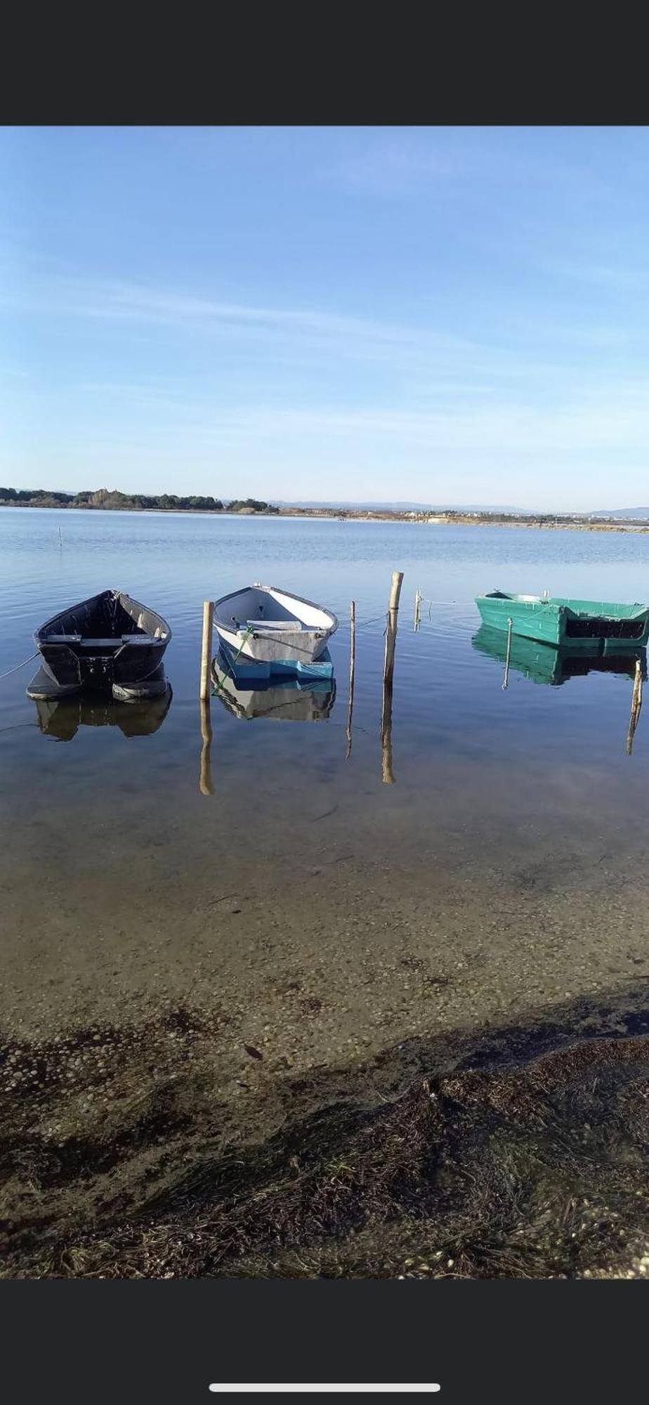 Studio Climatise Proche De Montpellier Et Des Plages Villeneuve-les-Maguelonne Luaran gambar