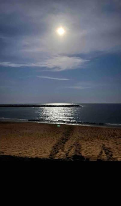 Studio Climatise Proche De Montpellier Et Des Plages Villeneuve-les-Maguelonne Luaran gambar